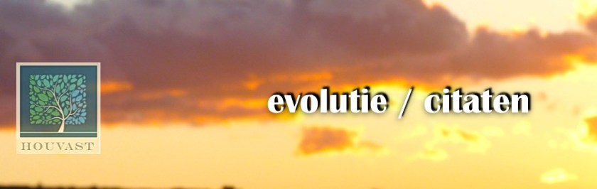 evolutie C