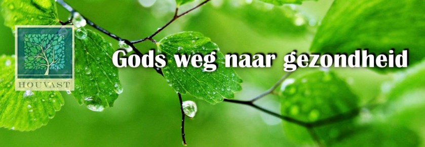 Gods weg 2