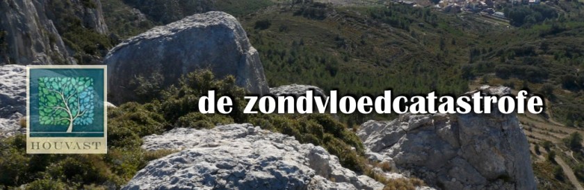 Zondvloed