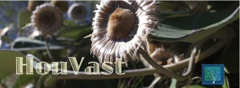 houvast banner positief