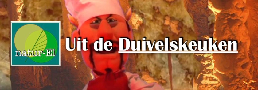 Duivelskeueken