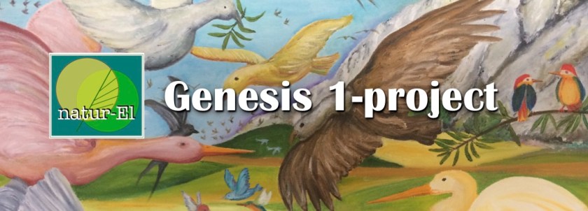 Genesis1
