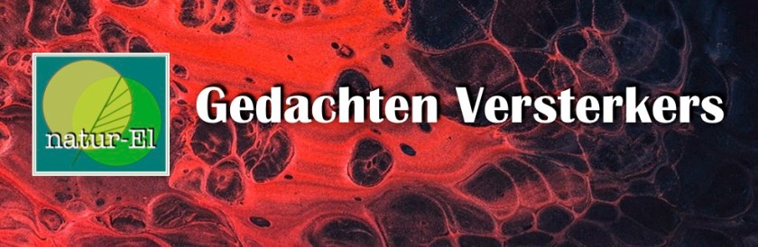 Gedachten versterkers