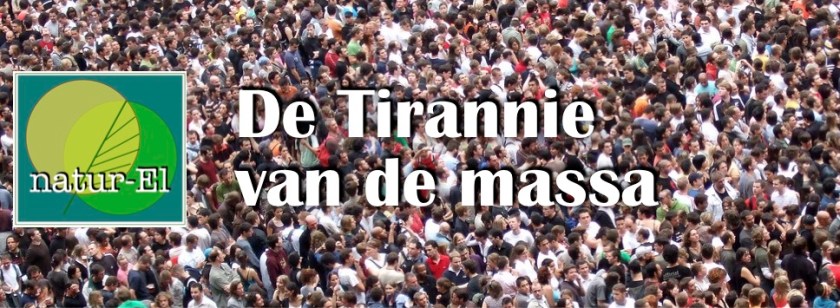 Tirannie Massa